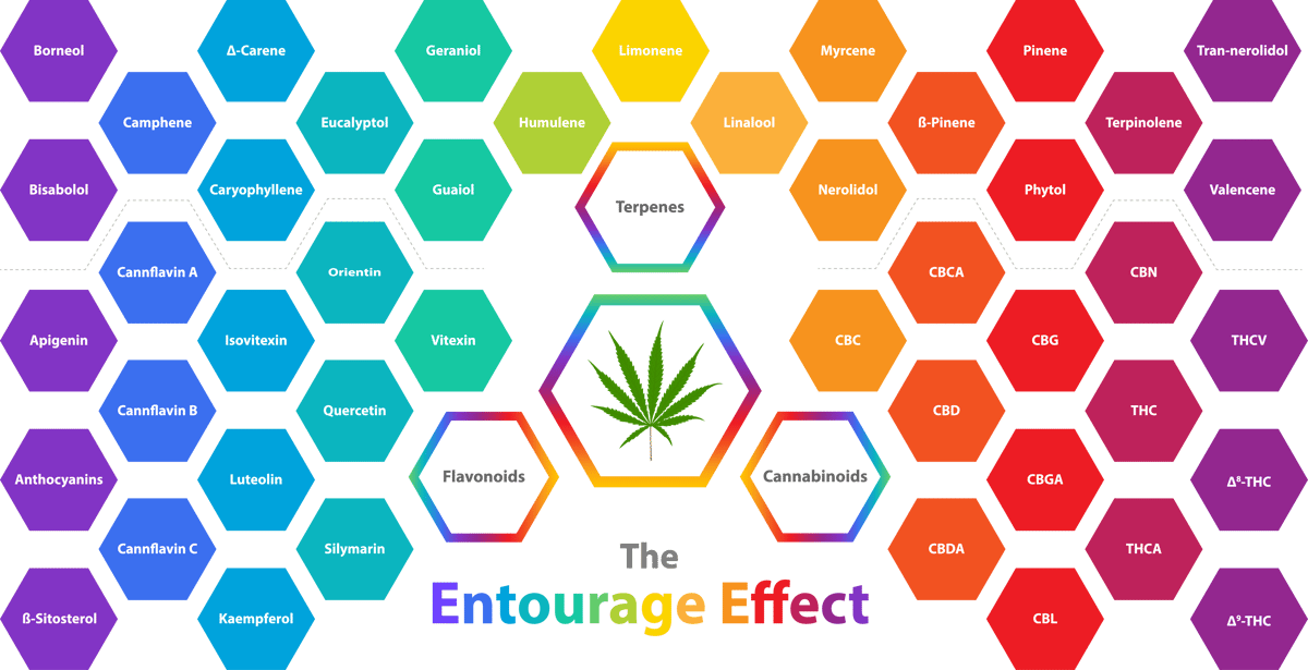 Cannabis_Entourage_Effect